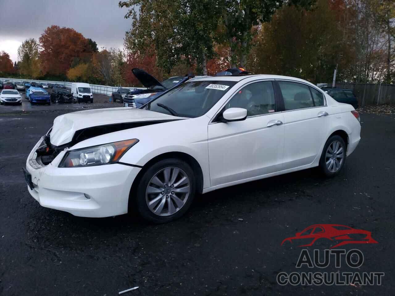 HONDA ACCORD 2011 - 1HGCP3F84BA008222