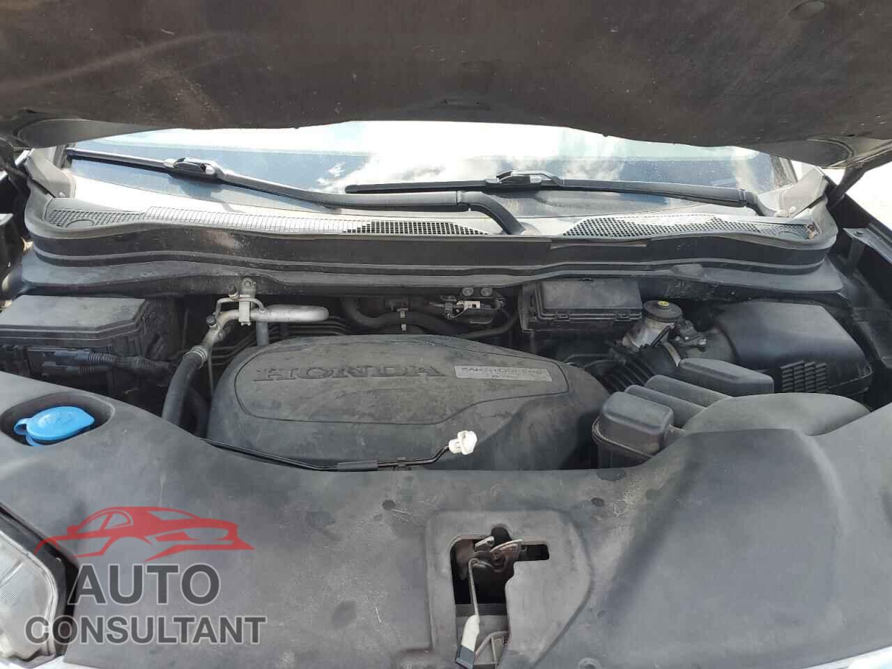 HONDA PILOT 2017 - 5FNYF5H52HB009682