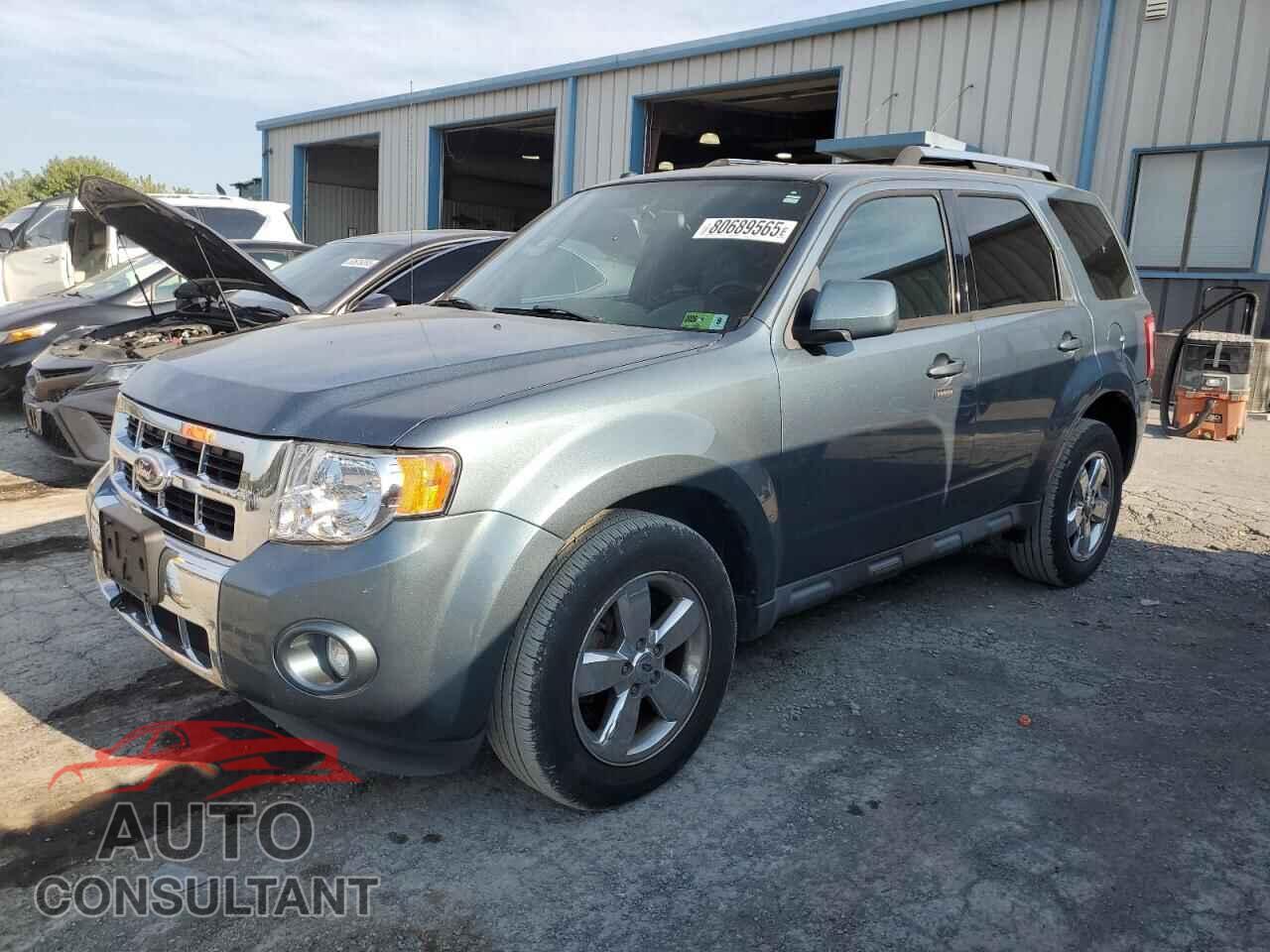 FORD ESCAPE 2011 - 1FMCU9EG2BKB32384