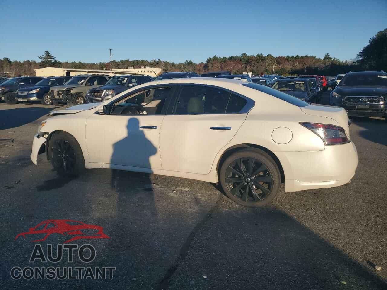 NISSAN MAXIMA 2013 - 1N4AA5AP0DC821295