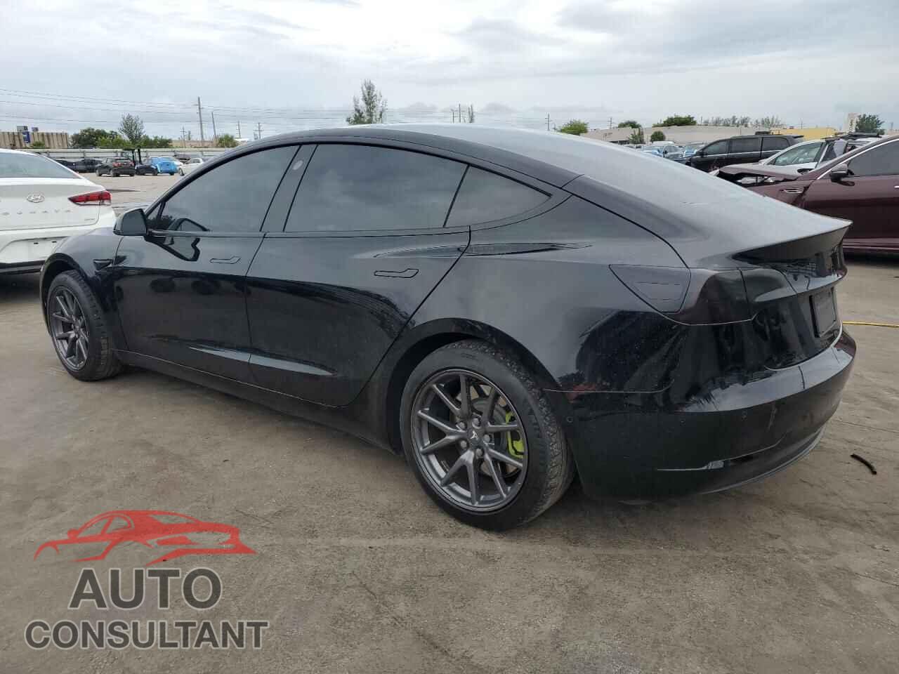 TESLA MODEL 3 2019 - 5YJ3E1EB2KF195098