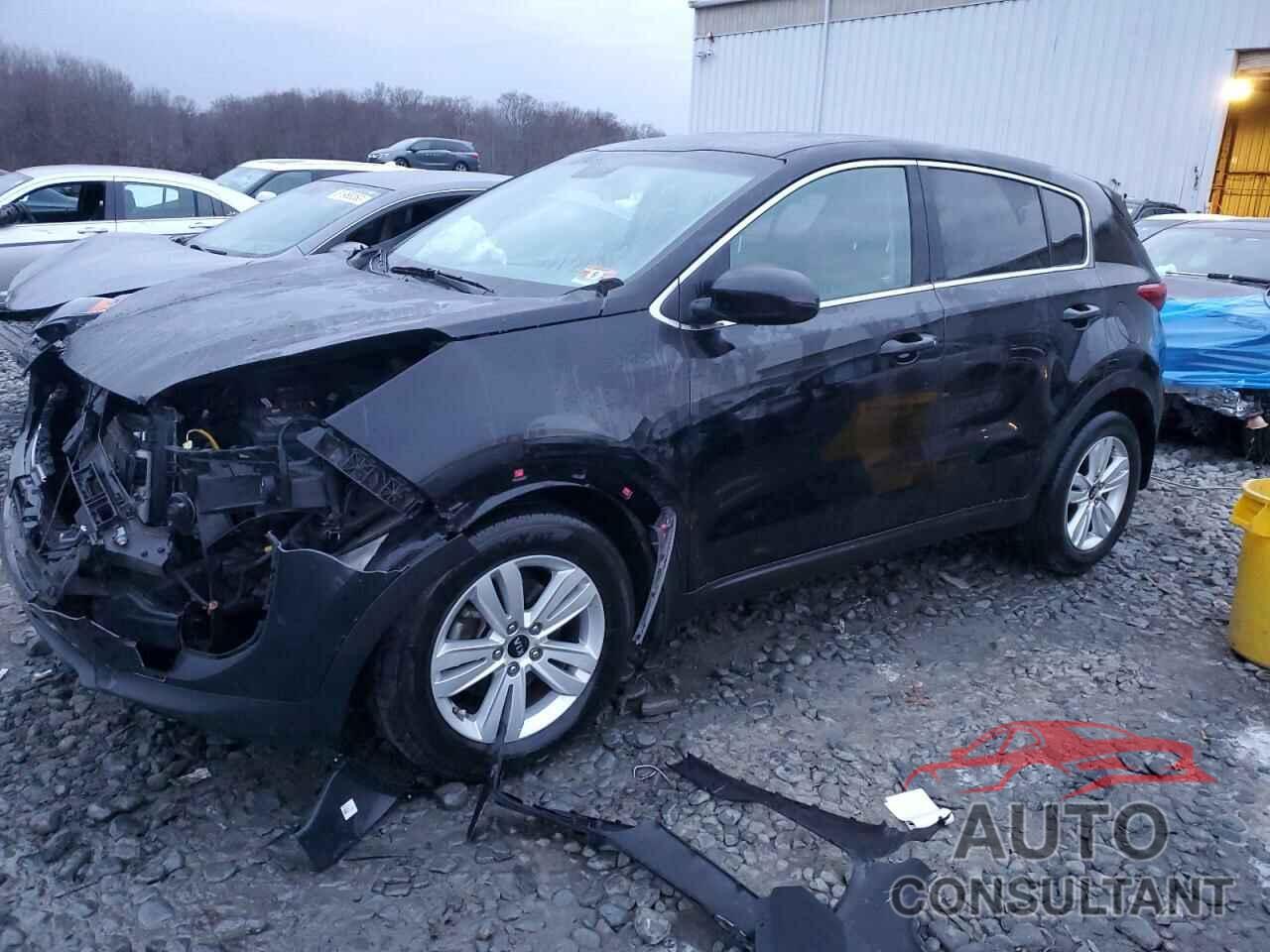 KIA SPORTAGE 2017 - KNDPM3AC3H7241406