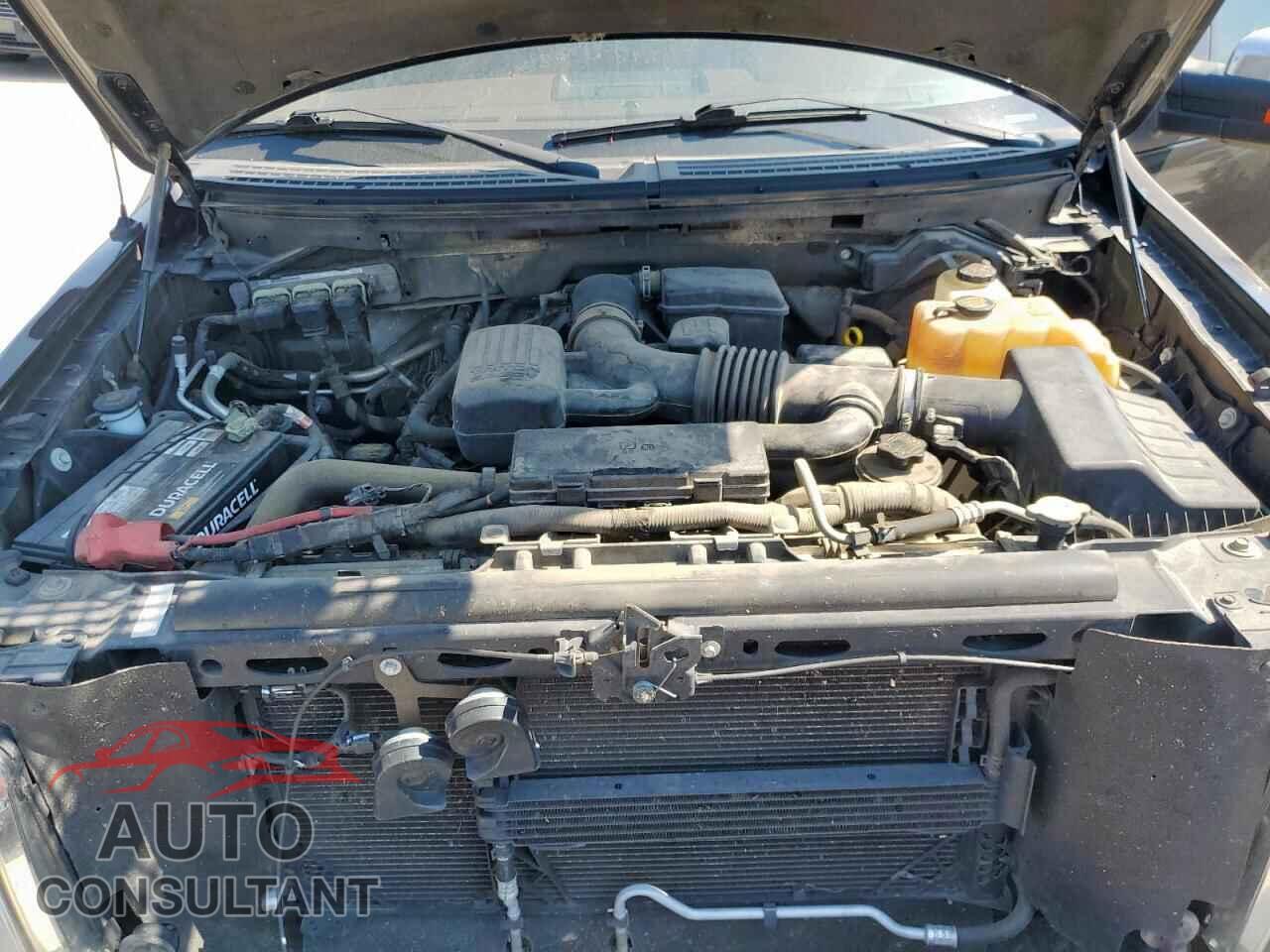 FORD F-150 2010 - 1FTFW1EV4AKE54745