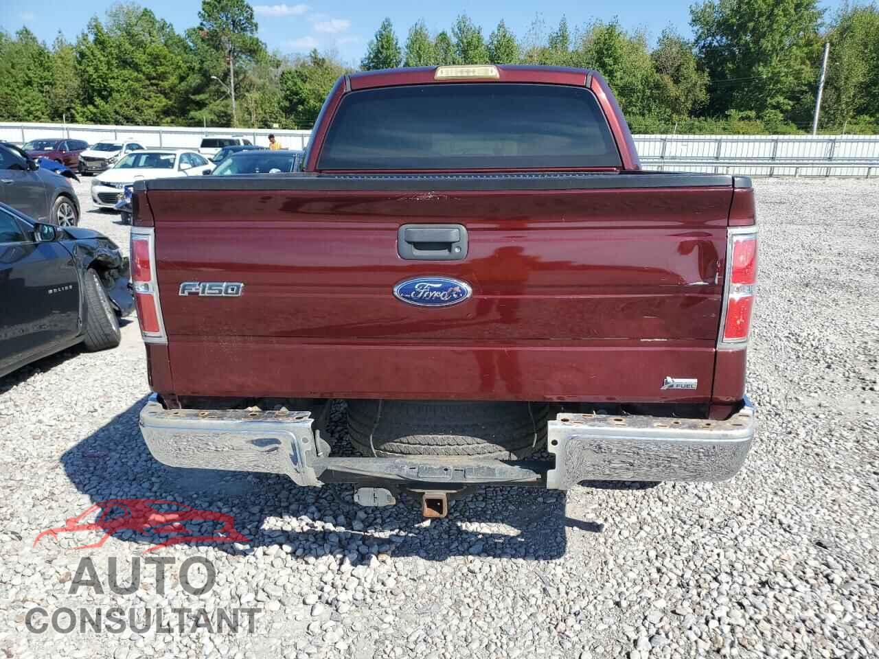 FORD F-150 2010 - 1FTEW1C85AFD84271