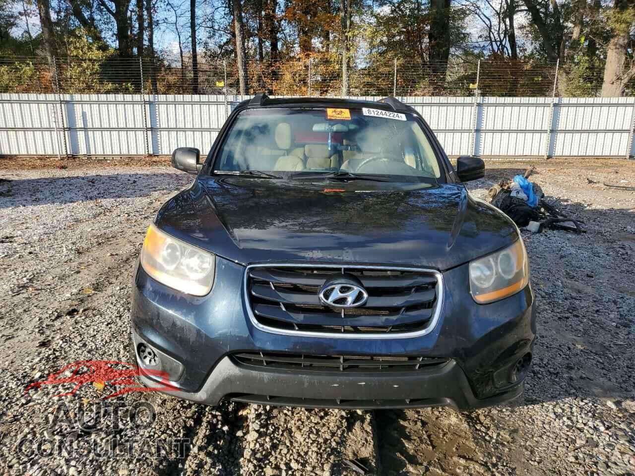 HYUNDAI SANTA FE 2010 - 5NMSG3ABXAH405712