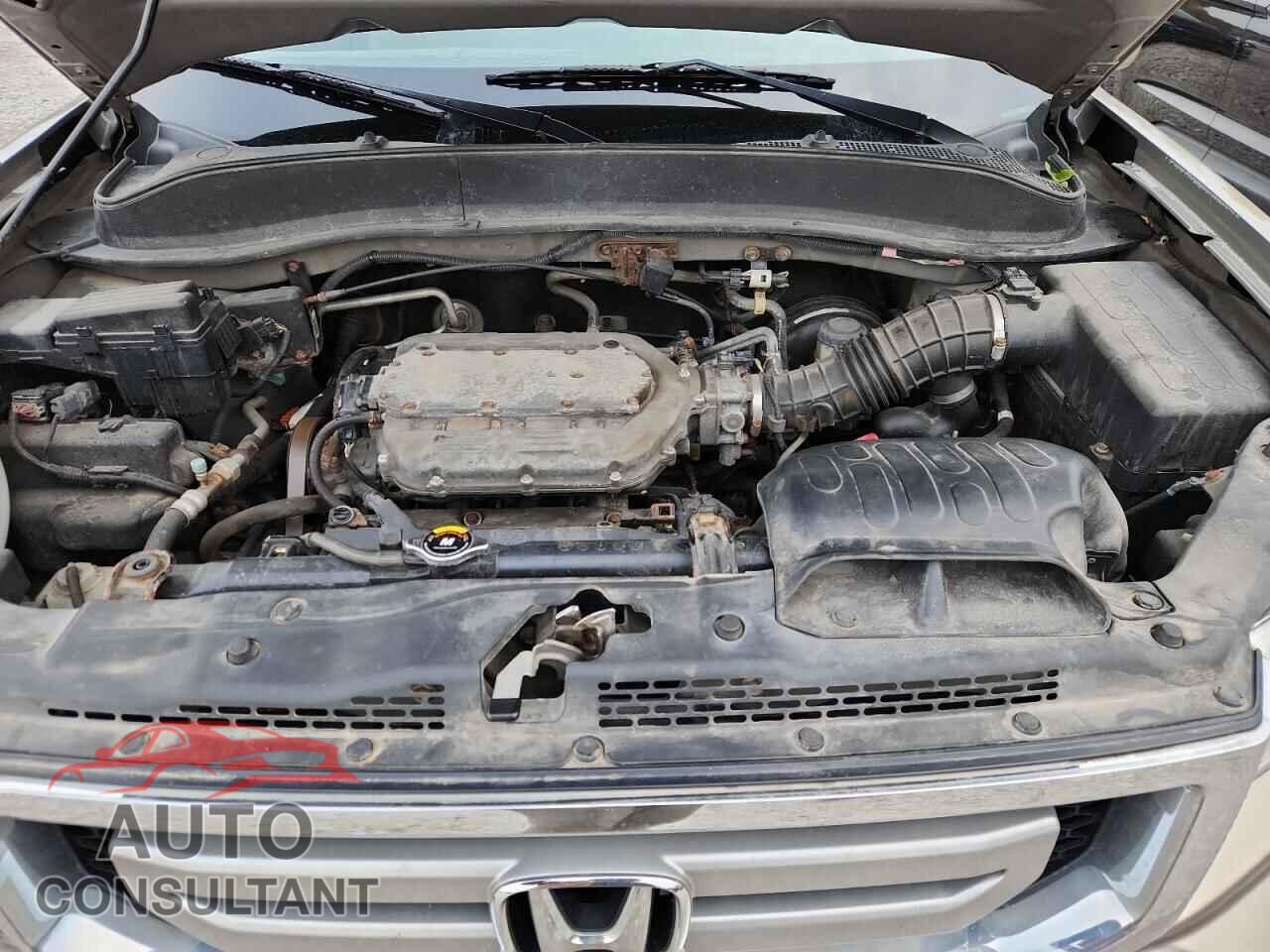 HONDA RIDGELINE 2009 - 5FPYK16519B101446