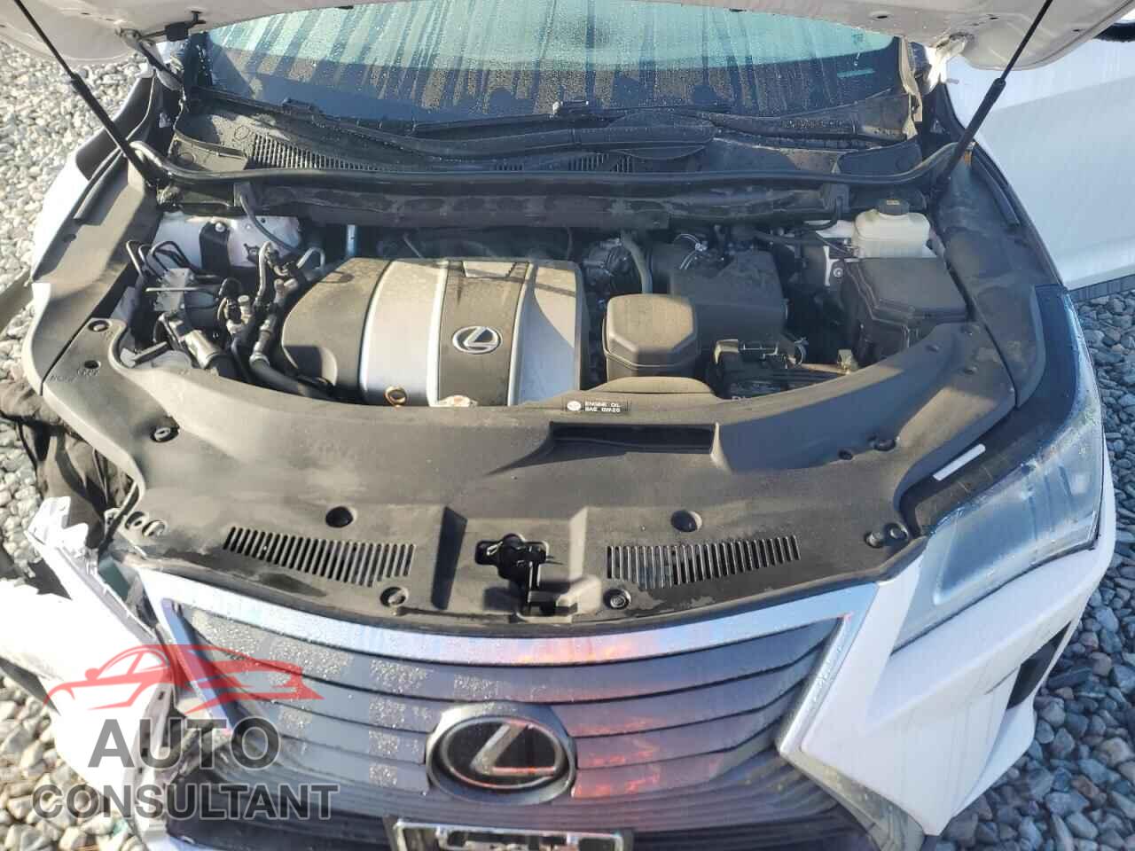LEXUS RX350 2019 - 2T2ZZMCA2KC132190