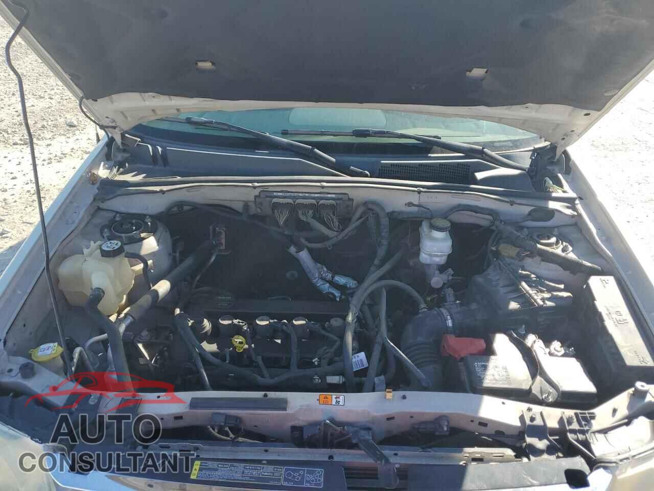 FORD ESCAPE 2010 - 1FMCU0D79AKA42242