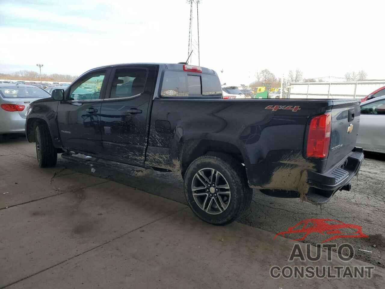 CHEVROLET COLORADO 2019 - 1GCGTCEN6K1147254