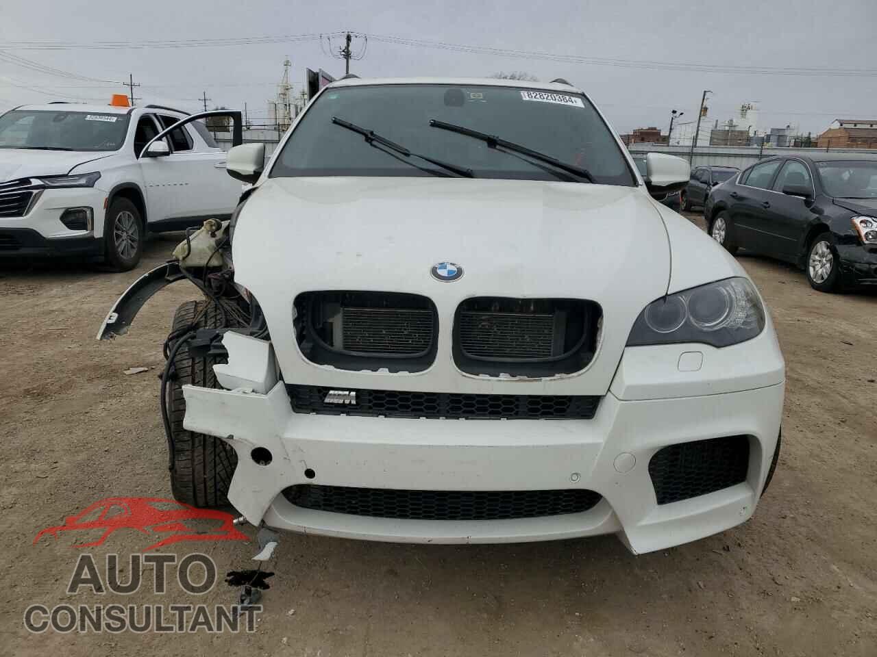 BMW X5 2010 - 5YMGY0C55ALK25665