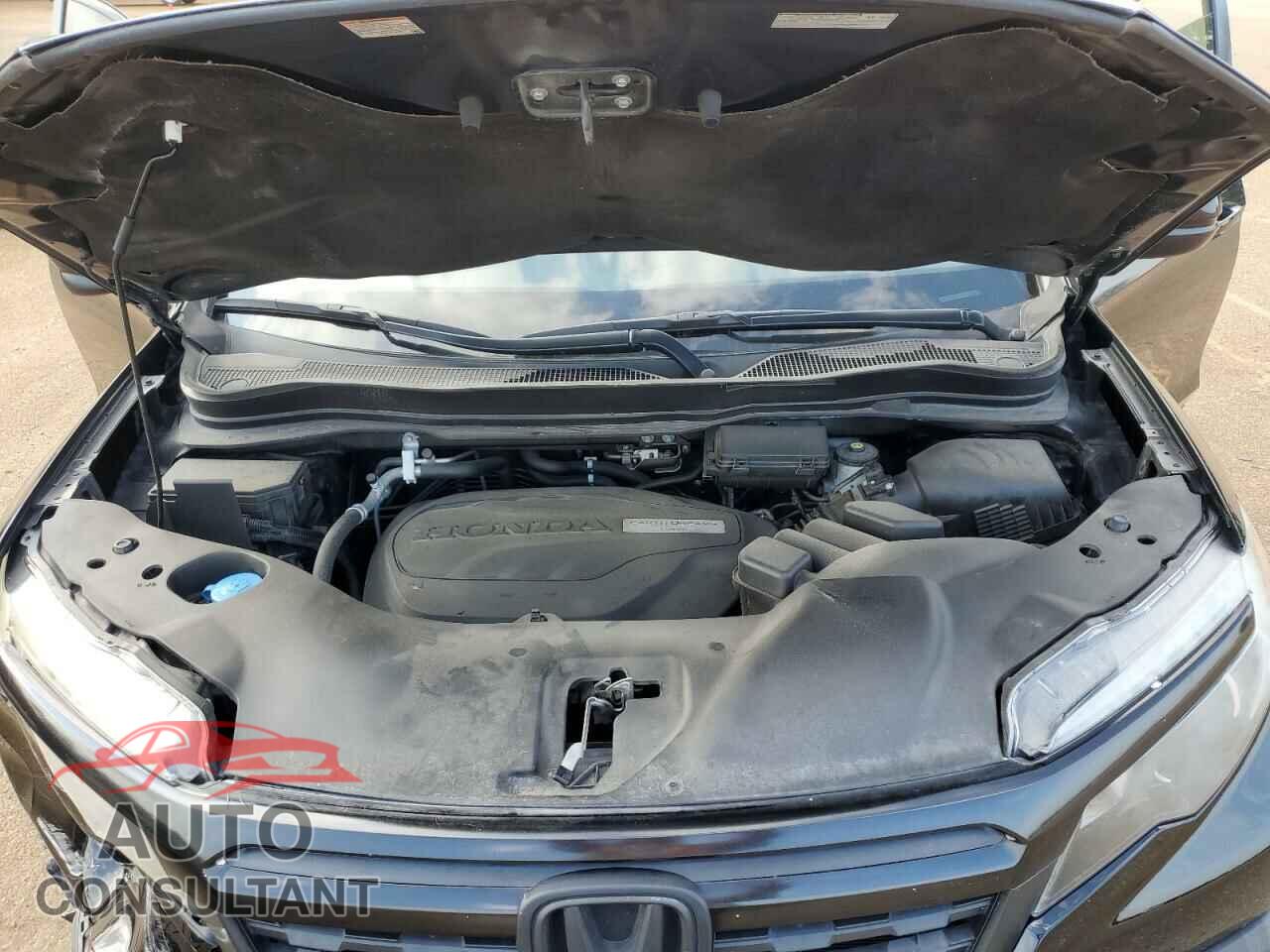 HONDA RIDGELINE 2019 - 5FPYK2F66KB005591