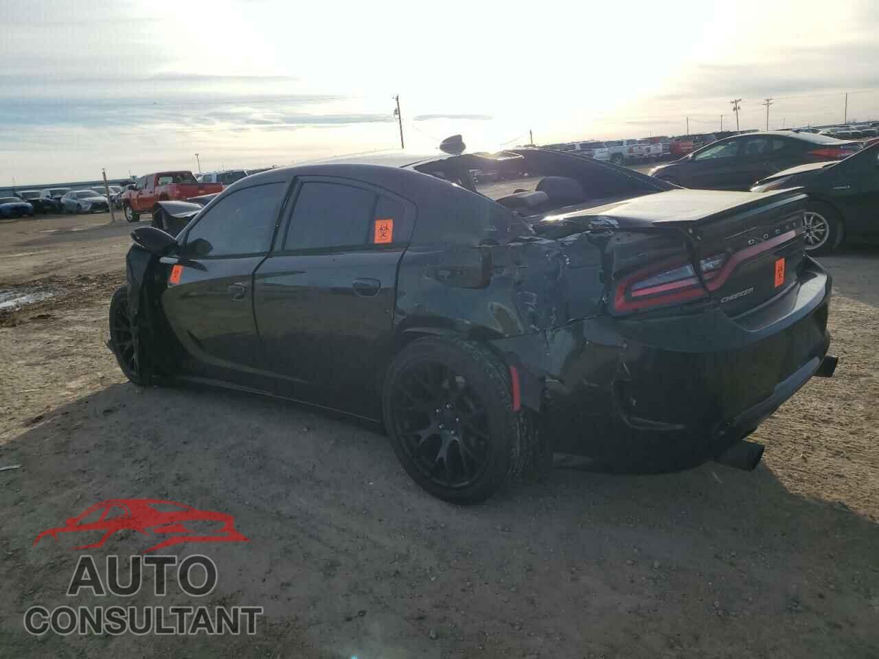 DODGE CHARGER 2015 - 2C3CDXCT3FH907365