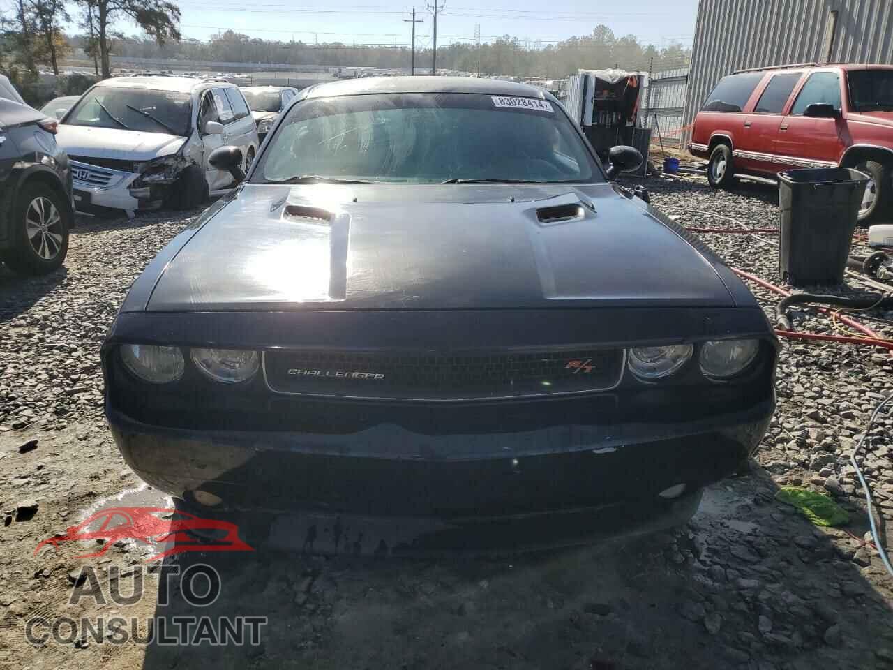 DODGE CHALLENGER 2013 - 2C3CDYBT1DH629229