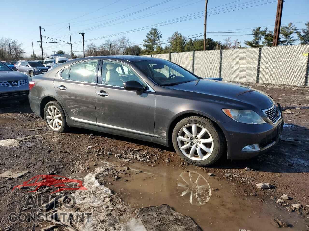 LEXUS LS460 2009 - JTHCL46F495000282