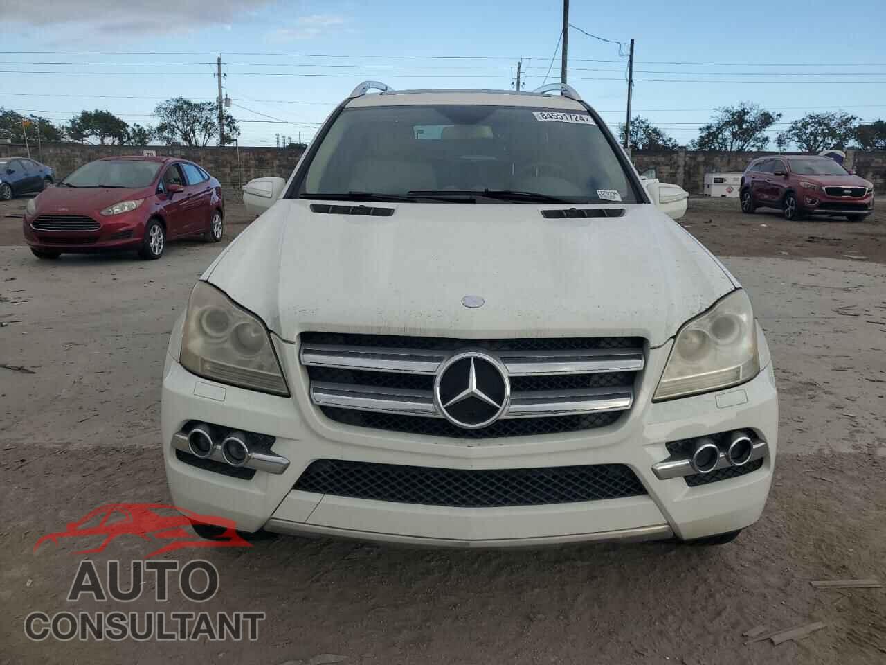 MERCEDES-BENZ GL-CLASS 2010 - 4JGBF7BEXAA588747