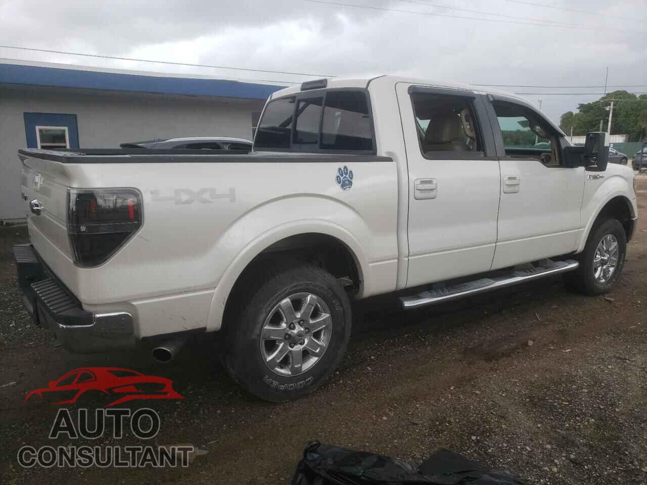 FORD F-150 2010 - 1FTFW1EV2AFC28048
