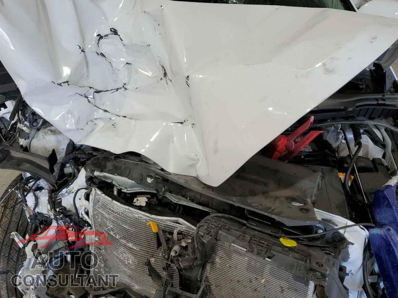 FORD EDGE 2024 - 2FMPK4J93RBB01554