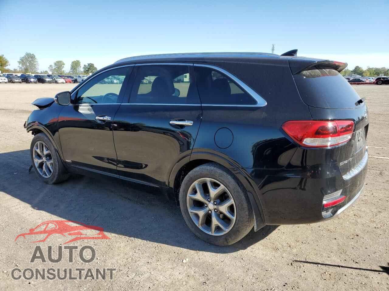 KIA SORENTO 2016 - 5XYPKDA17GG055413