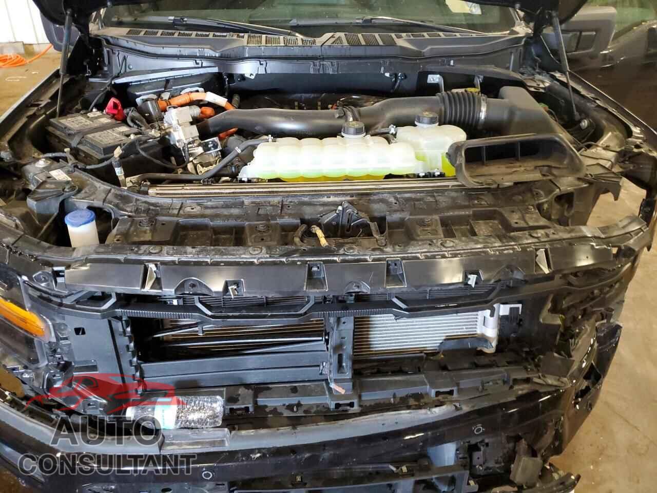 FORD All Models 2025 - 1FTFW3LD5SFA36727