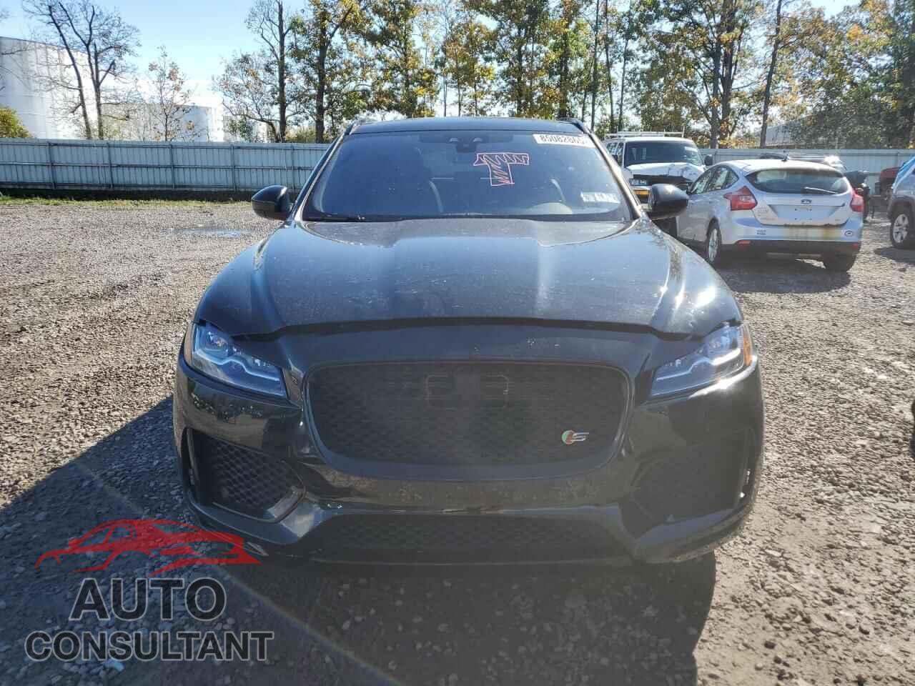 JAGUAR F-PACE 2020 - SADCM2FV5LA653197
