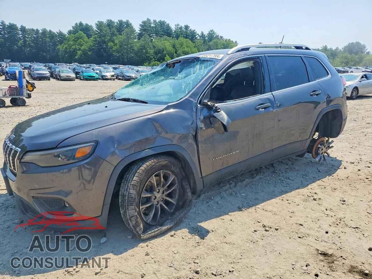 JEEP CHEROKEE 2019 - 1C4PJMLB3KD191439