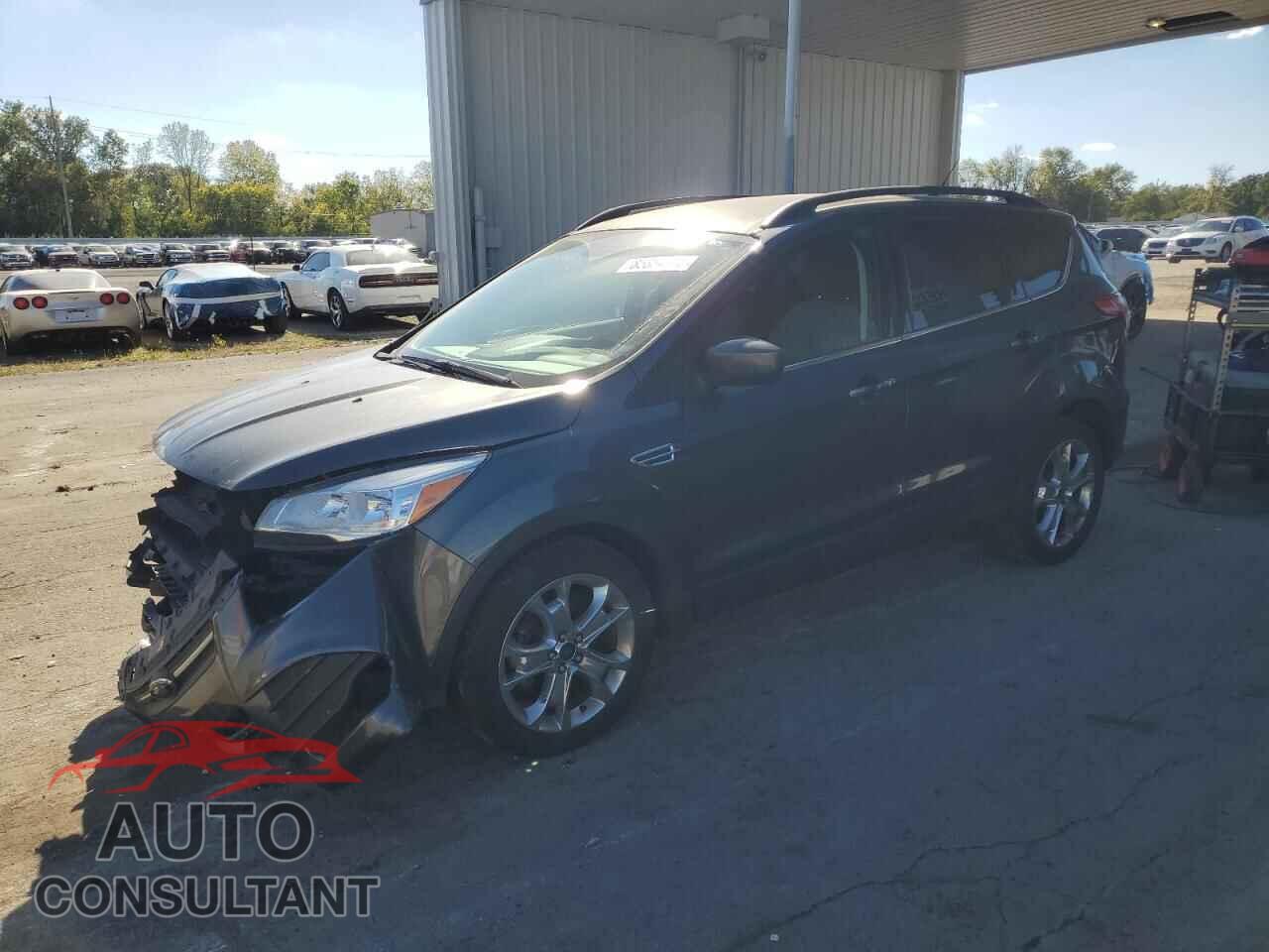 FORD ESCAPE 2016 - 1FMCU0GX3GUB95353