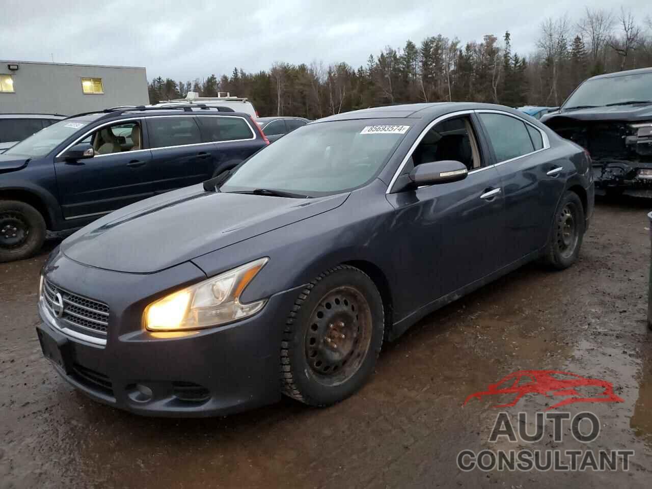 NISSAN MAXIMA 2009 - 1N4AA51E59C858980