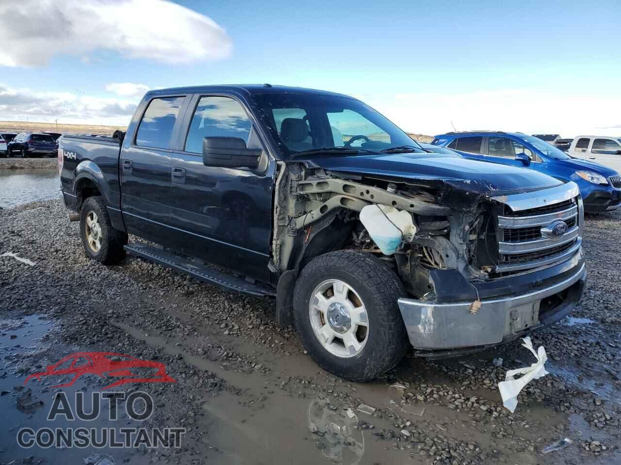 FORD F-150 2013 - 1FTFW1EF3DFB86065