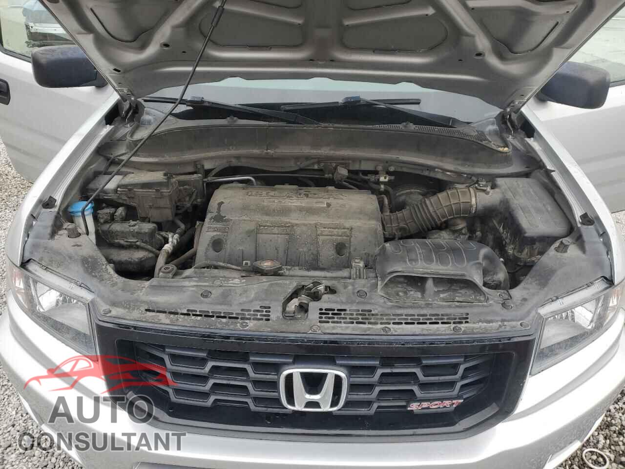 HONDA RIDGELINE 2014 - 5FPYK1F73EB004101