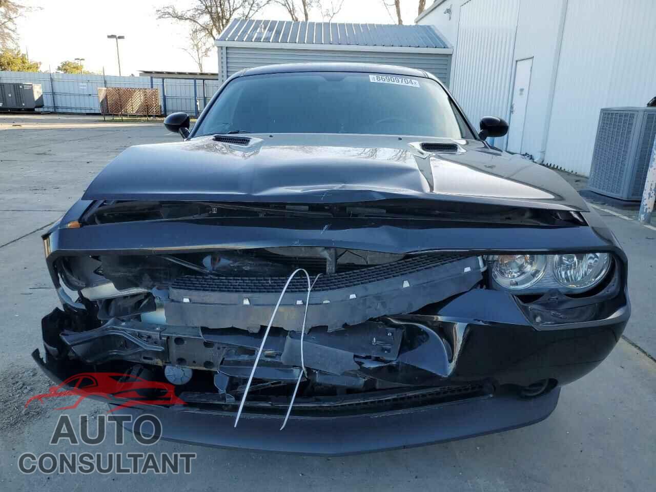 DODGE CHALLENGER 2013 - 2C3CDYAG2DH670263