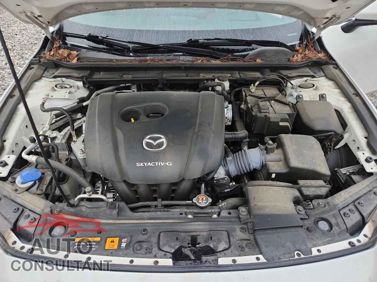 MAZDA 3 2019 - JM1BPANM3K1129580