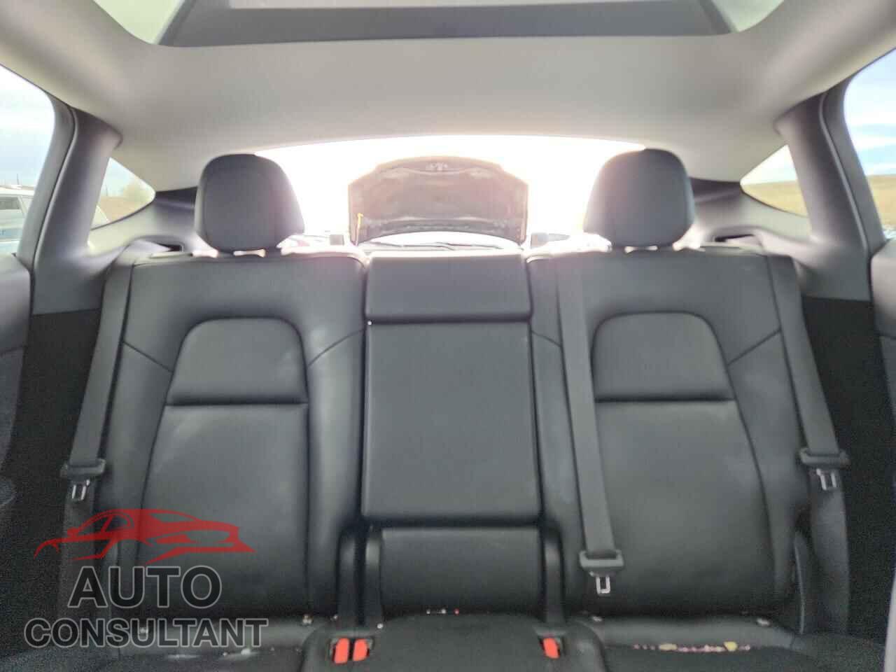 TESLA MODEL Y 2024 - 7SAYGDEE5RF117794