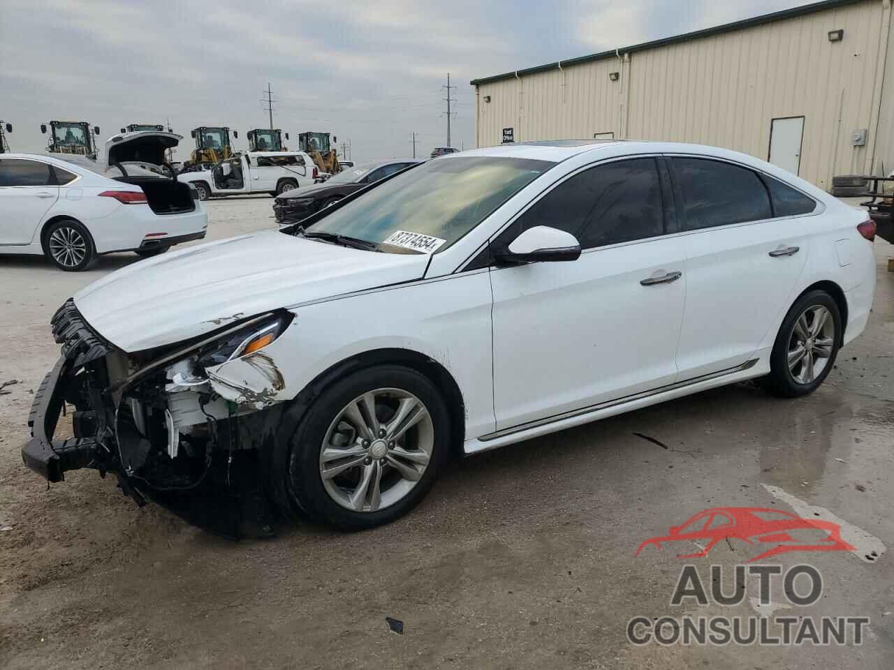 HYUNDAI SONATA 2018 - 5NPE34AF0JH637126