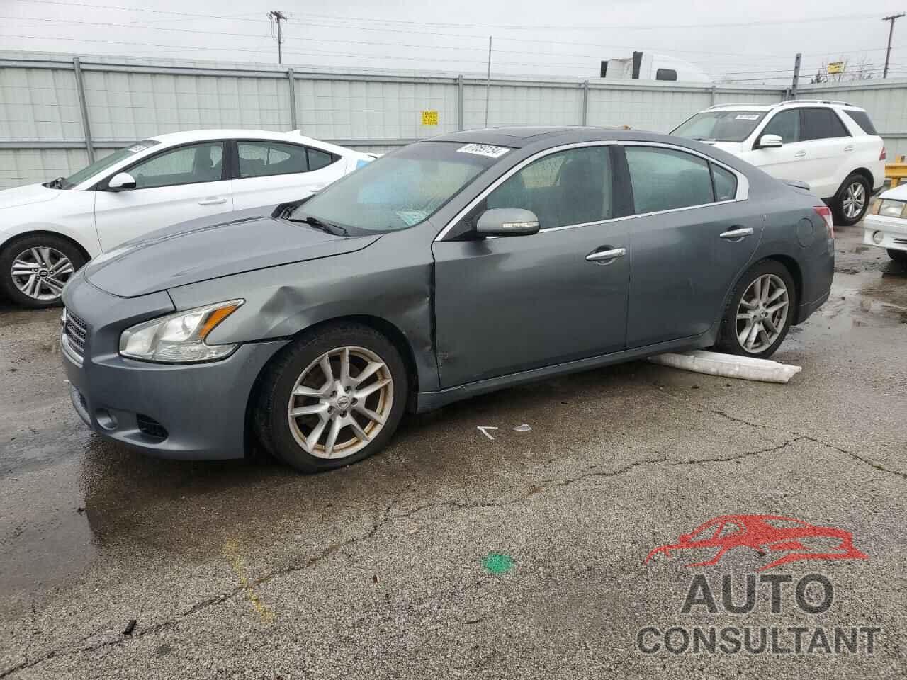 NISSAN MAXIMA 2010 - 1N4AA5AP7AC803131
