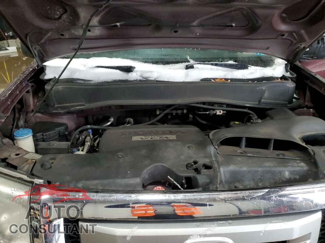 HONDA PILOT 2009 - 5FNYF48559B024320
