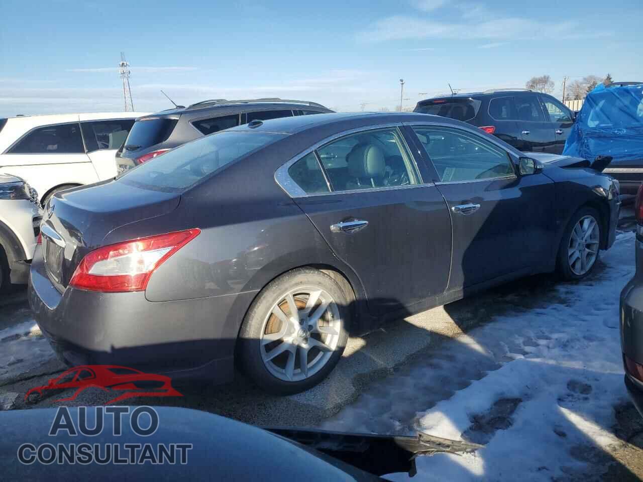 NISSAN MAXIMA 2009 - 1N4AA51E19C858992