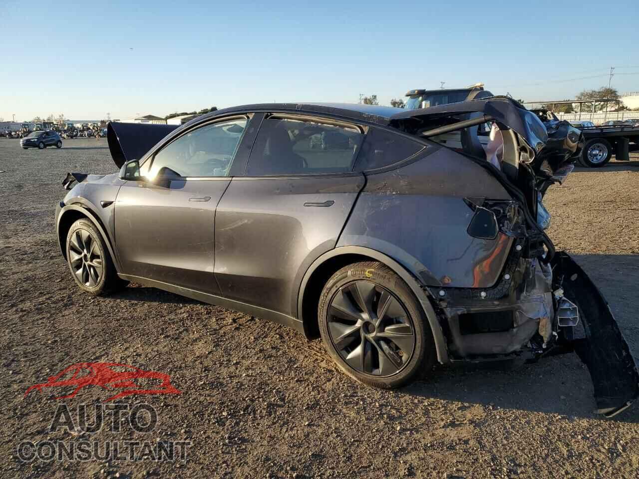 TESLA MODEL Y 2024 - 7SAYGDED1RF179118