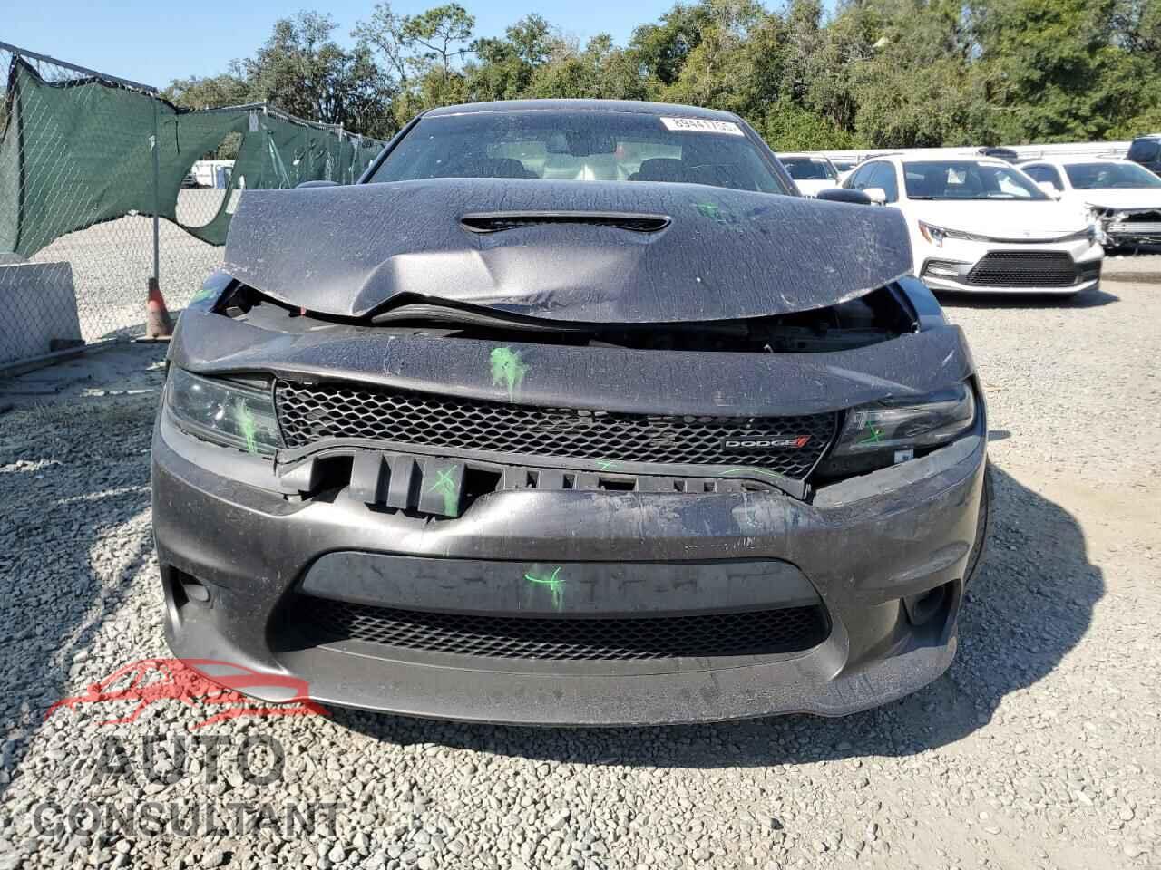 DODGE CHARGER 2019 - 2C3CDXHG9KH693021