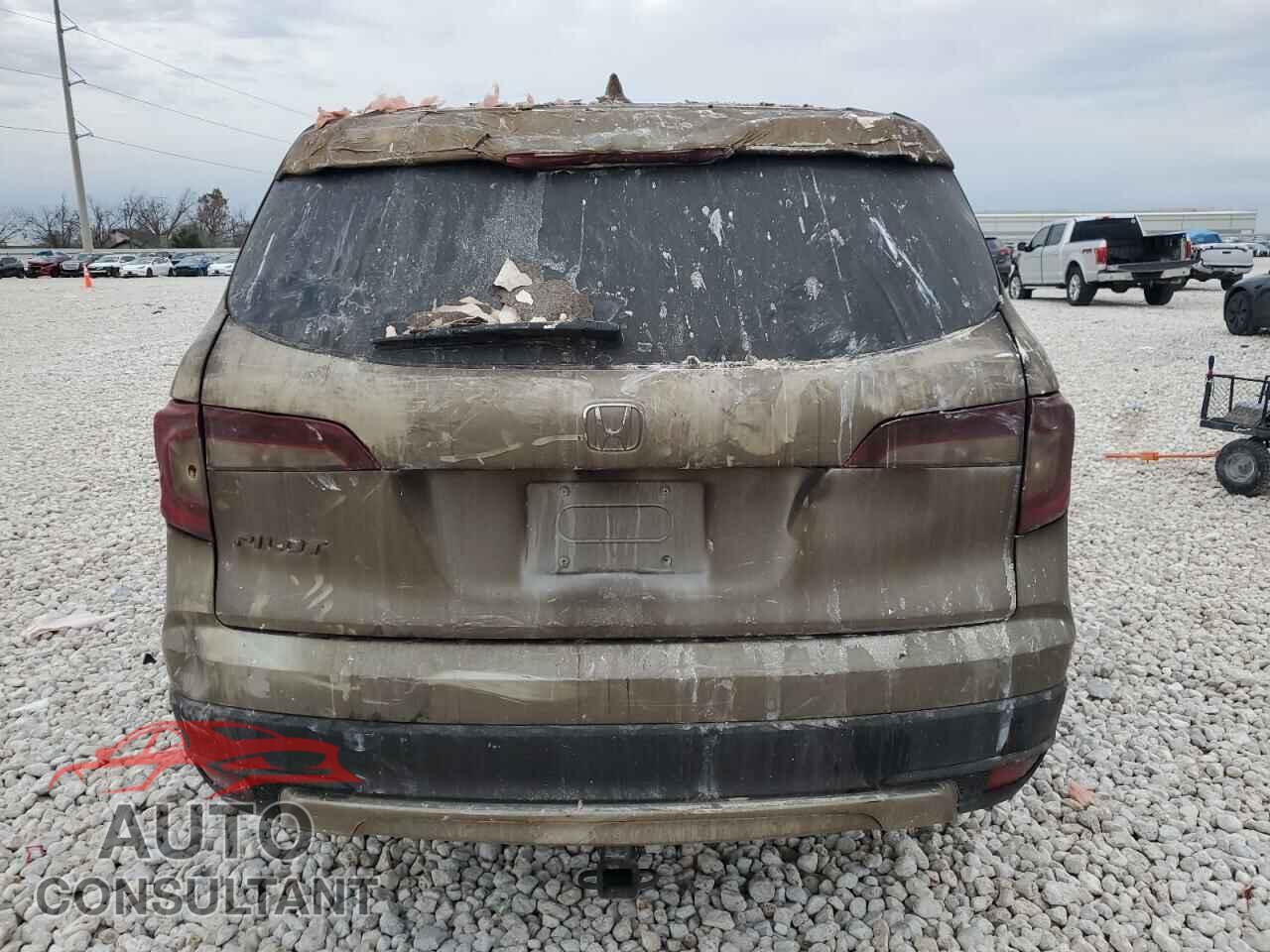 HONDA PILOT 2019 - 5FNYF5H52KB009169