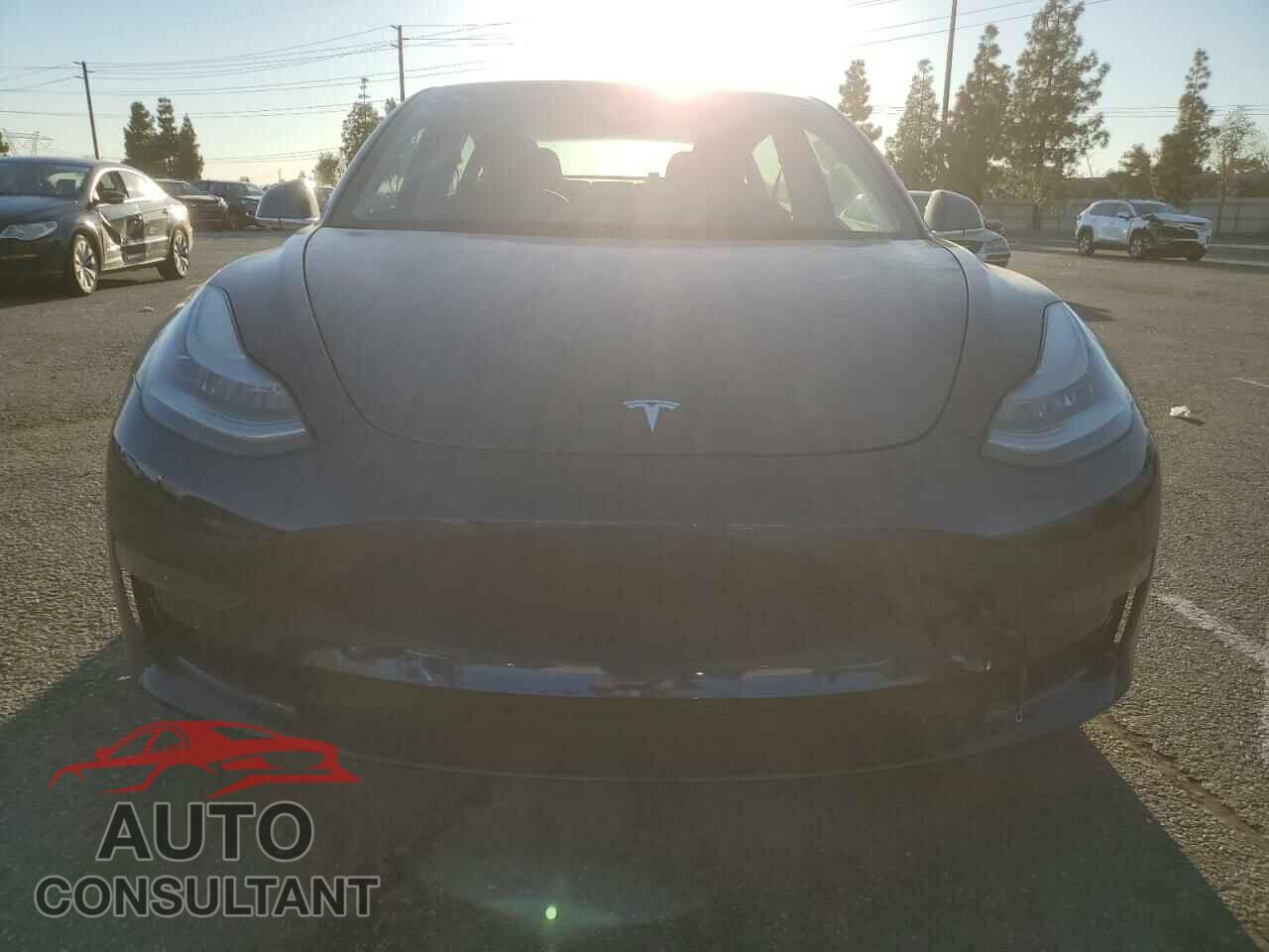 TESLA MODEL 3 2019 - 5YJ3E1EA4KF436067