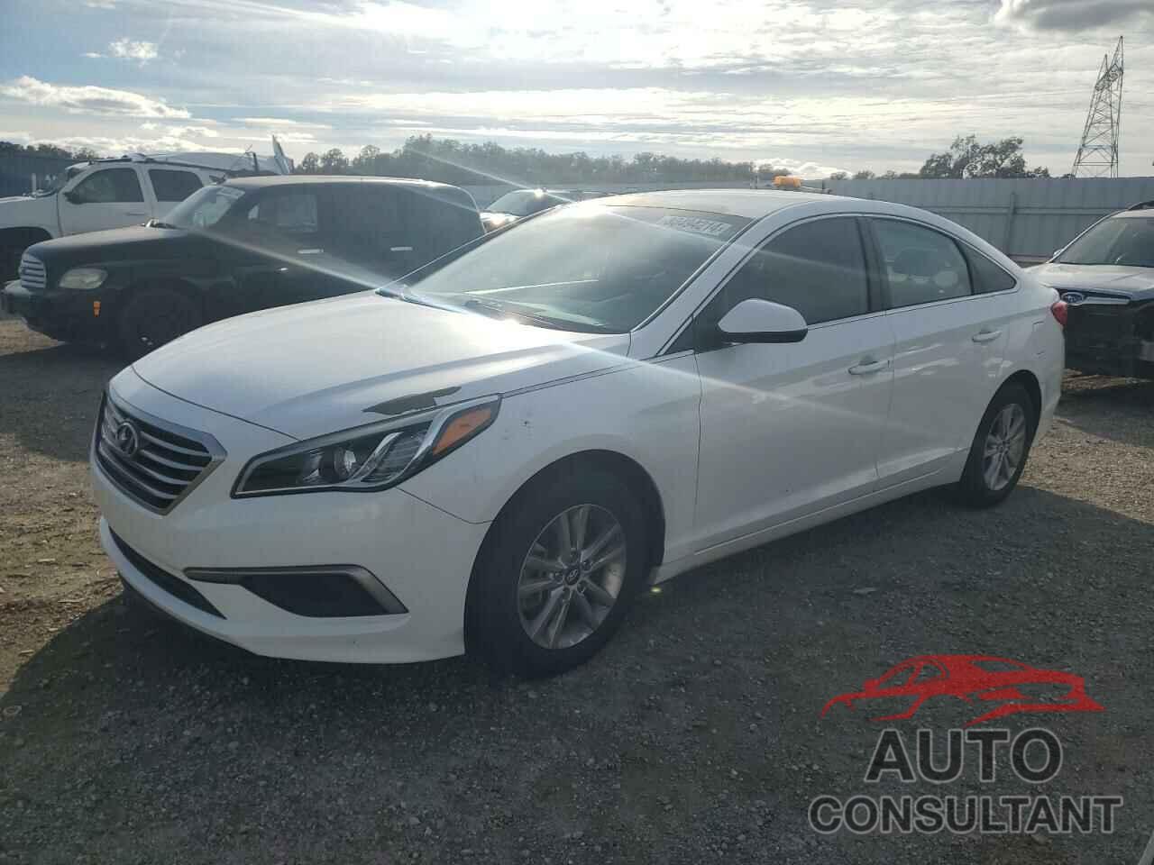 HYUNDAI SONATA 2017 - 5NPE24AF5HH500535