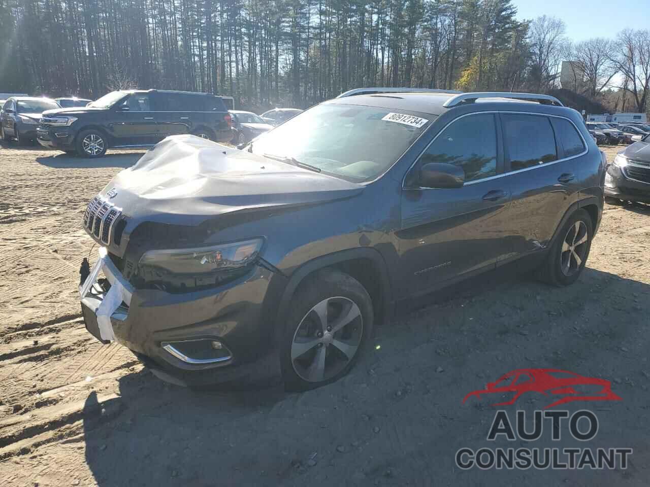 JEEP GRAND CHER 2019 - 1C4PJMDN9KD168515