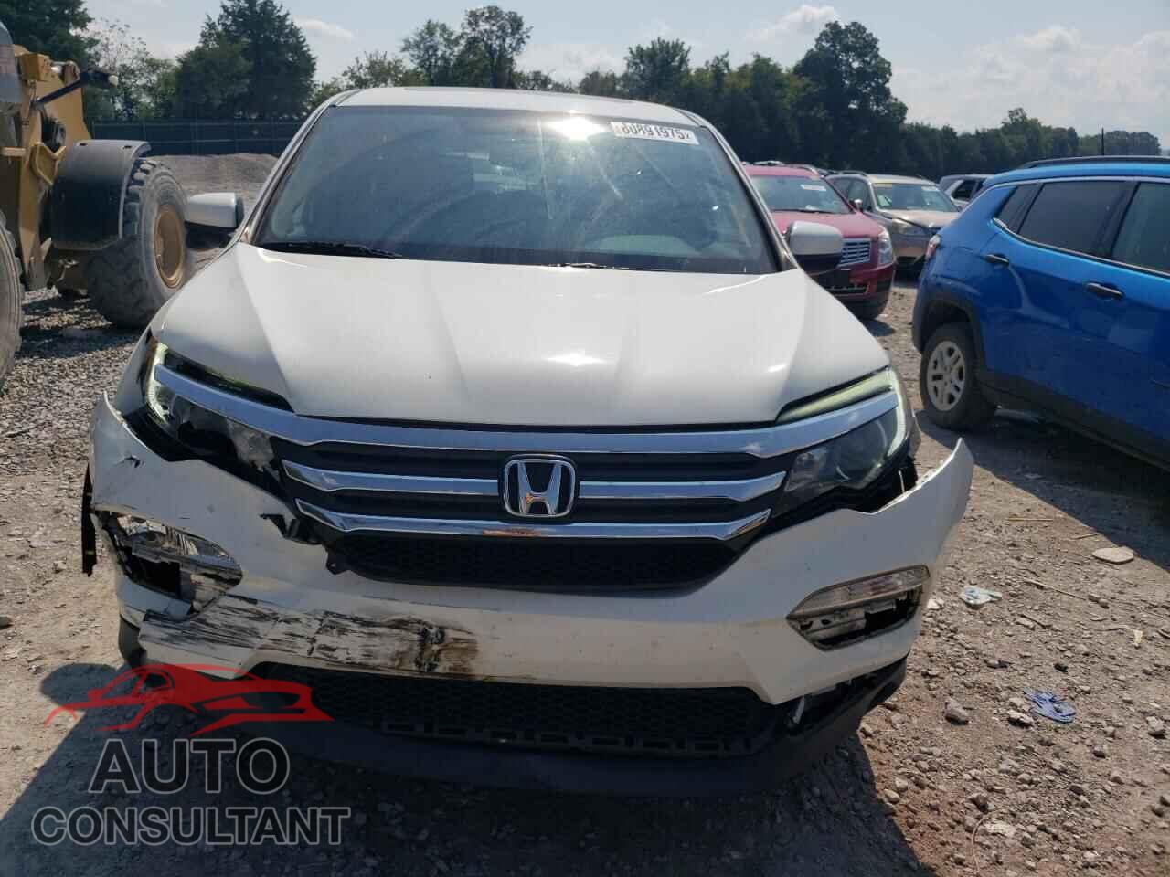 HONDA PILOT 2017 - 5FNYF5H56HB046007