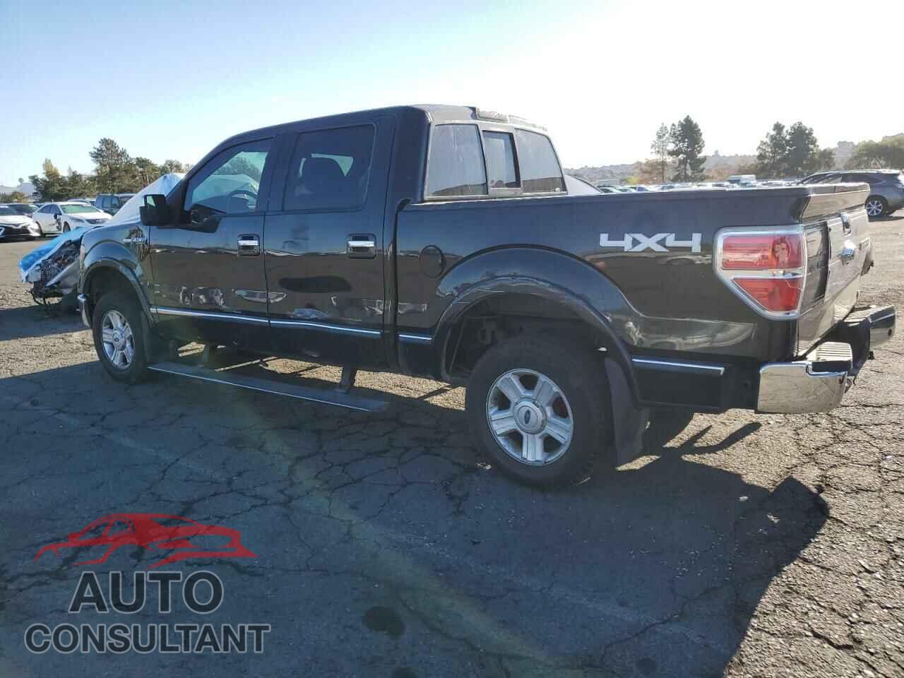 FORD F-150 2010 - 1FTFW1EV2AFA92942
