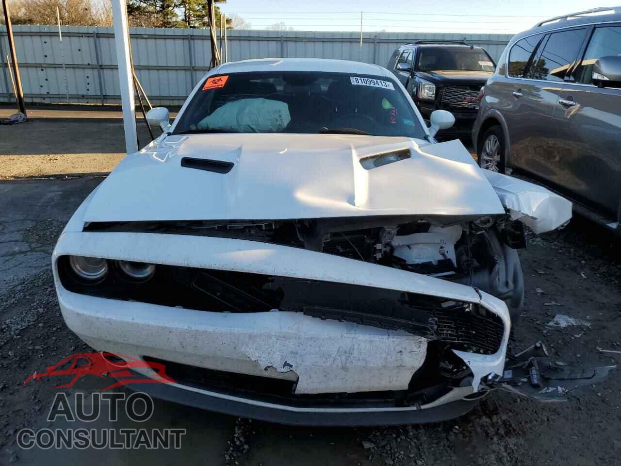 DODGE CHALLENGER 2019 - 2C3CDZAG2KH735406