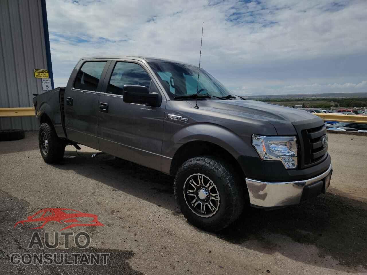FORD F-150 2011 - 1FTEW1CM7BFB84202