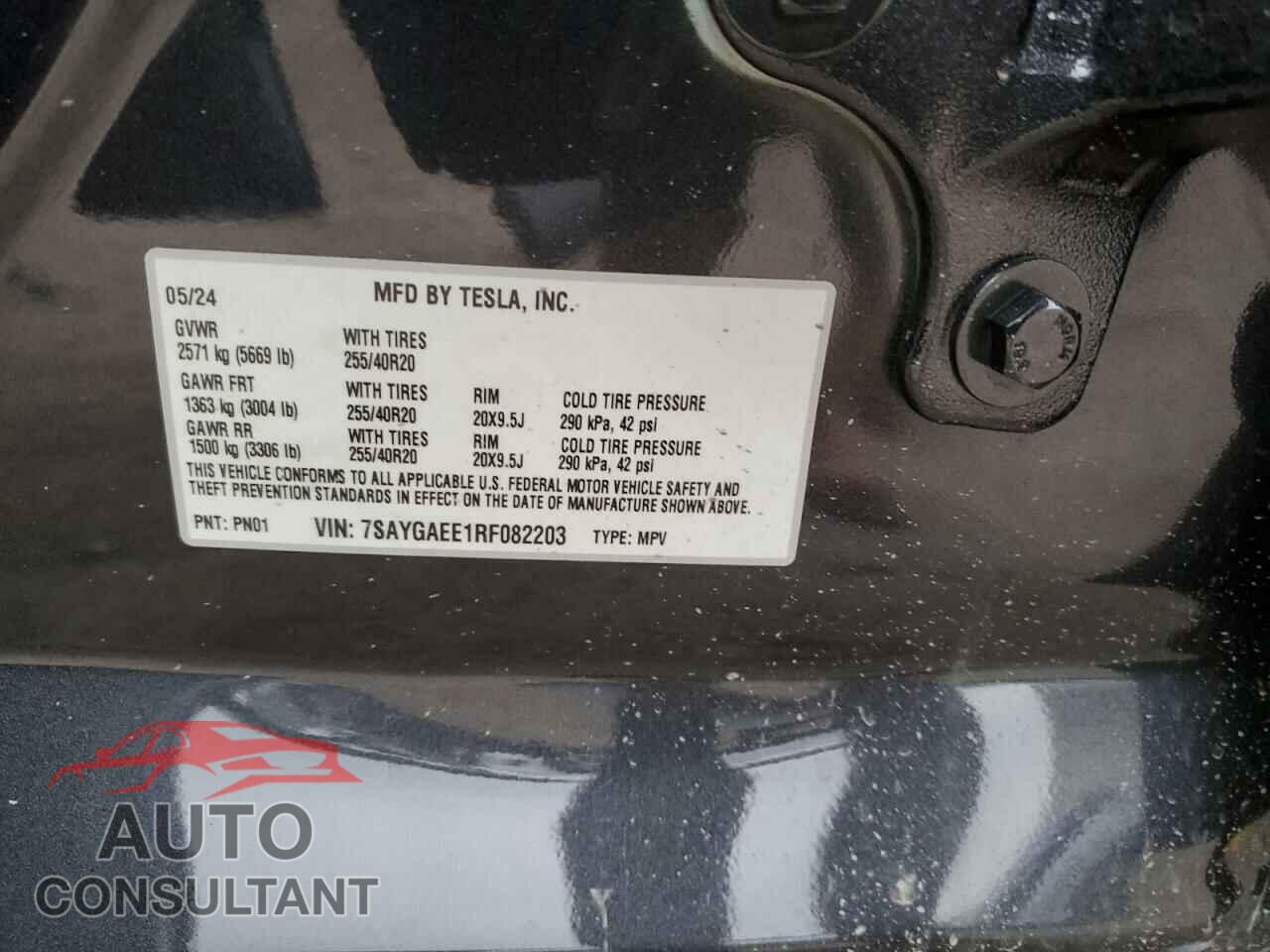 TESLA MODEL Y 2024 - 7SAYGAEE1RF082203