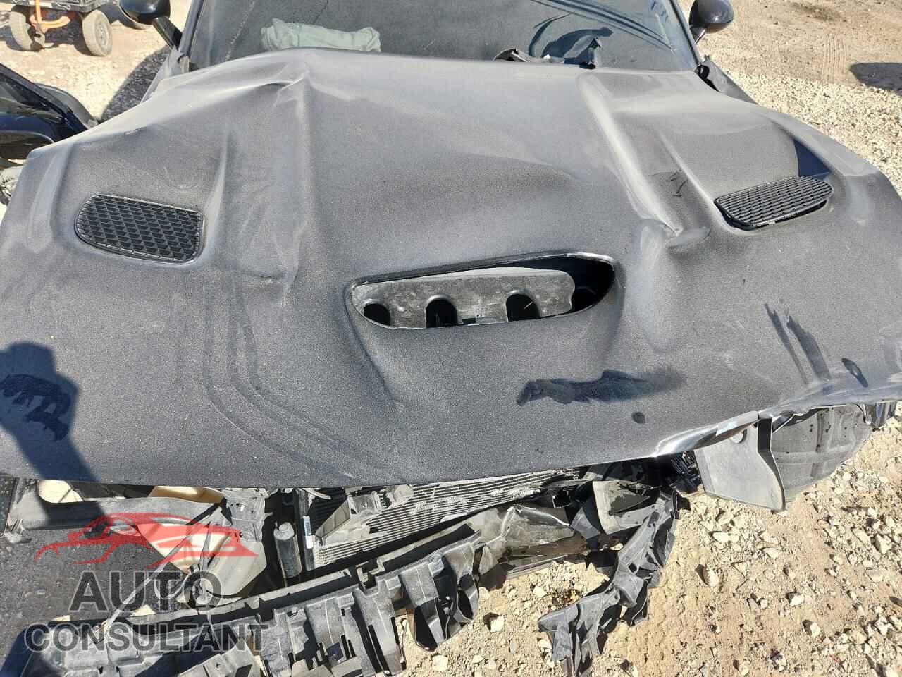 DODGE CHALLENGER 2019 - 2C3CDZFJXKH663231