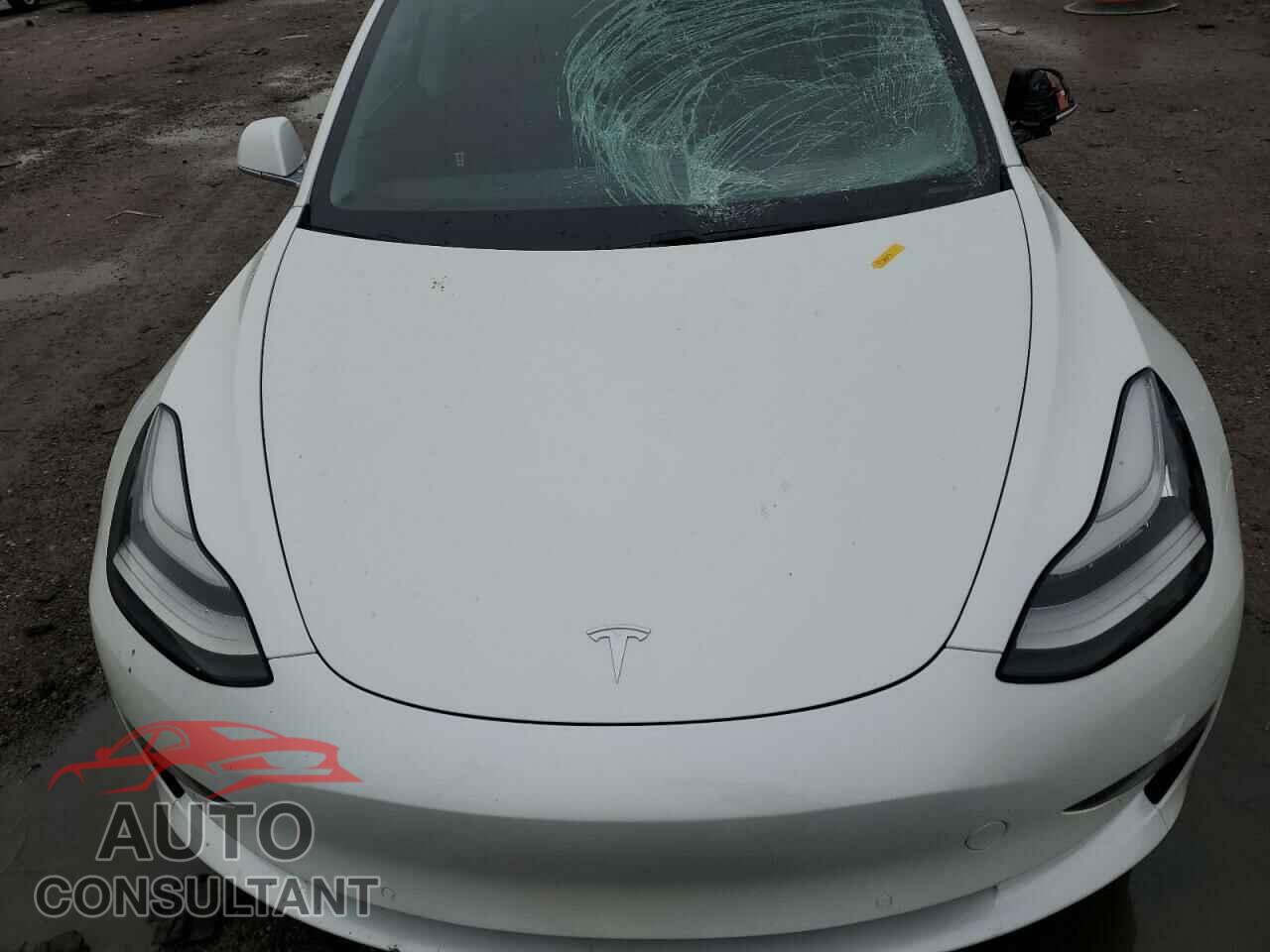 TESLA MODEL 3 2019 - 5YJ3E1EB9KF469834