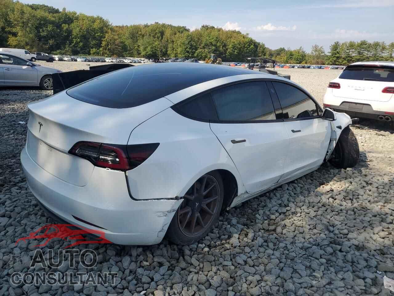 TESLA MODEL 3 2021 - 5YJ3E1EA2MF989870